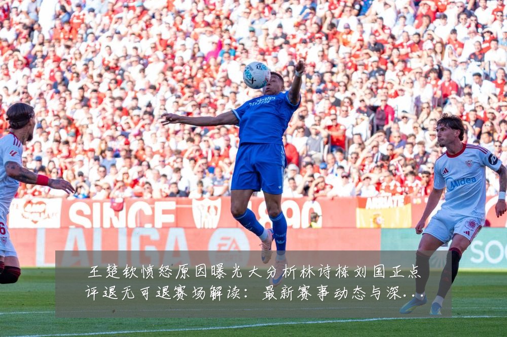 王楚钦愤怒原因曝光大分析林诗栋刘国正点评退无可退赛场解读:最新赛事动态与深度分析
